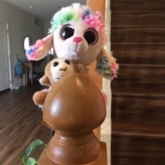 Fundraising Page: Olive Dishman